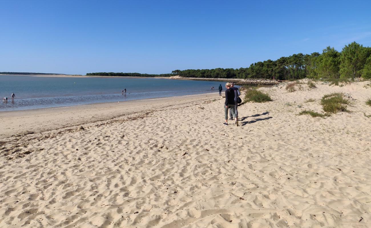 Photo de Plage de Gatseau avec sable blanc de surface