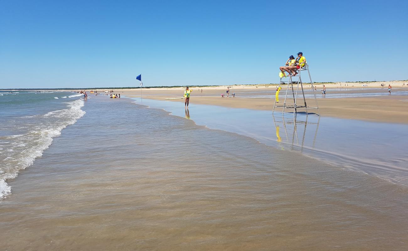 Photo de Plage de la Giraudière avec sable beige de surface