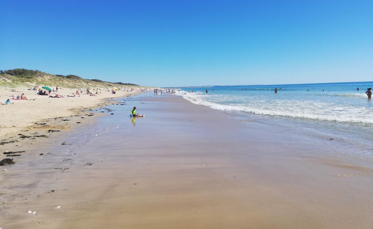 Photo de Plage du Treuil avec sable beige de surface