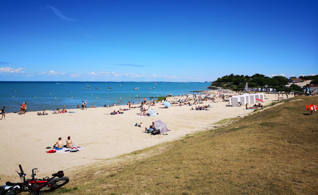 Photo de Plage de la Cible avec sable beige de surface