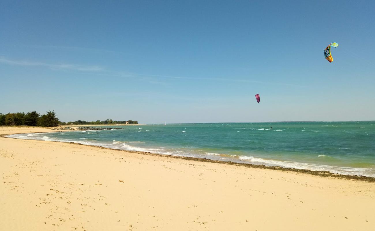 Photo de Plage De Trousse-Chemise avec sable blanc de surface