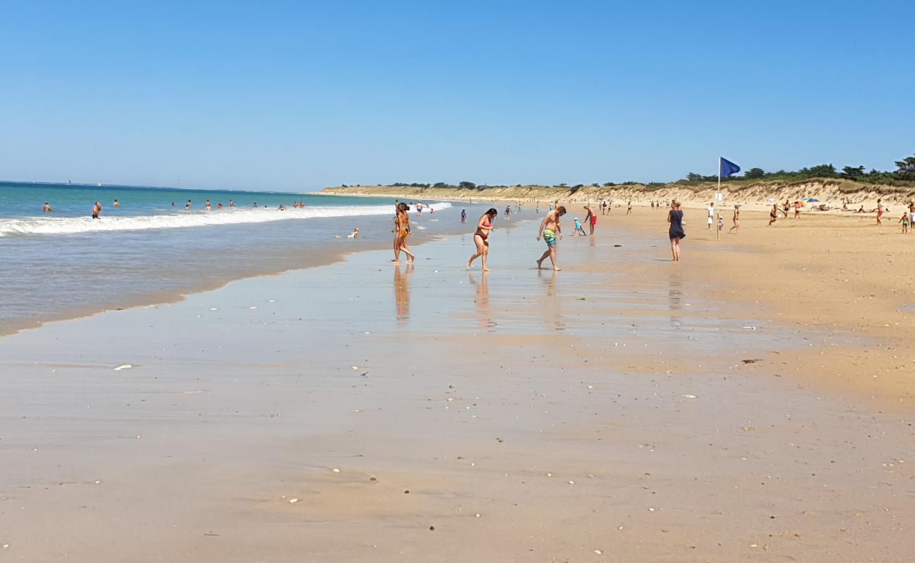 Photo de Conche of Whales beach avec sable beige de surface