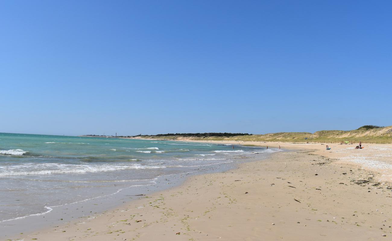 Photo de Campiotel beach avec sable beige & galets de surface