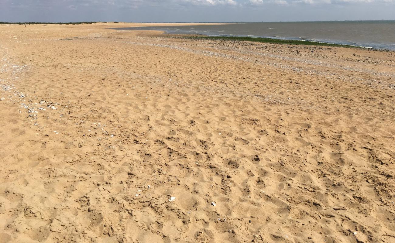 Photo de Pointe beach avec sable clair avec caillou de surface