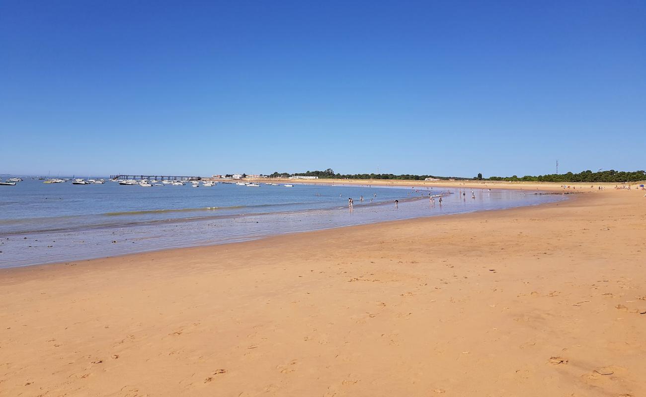 Photo de Plage de Clémenceau avec sable lumineux de surface