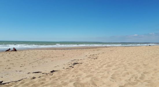 Plage de Terrière