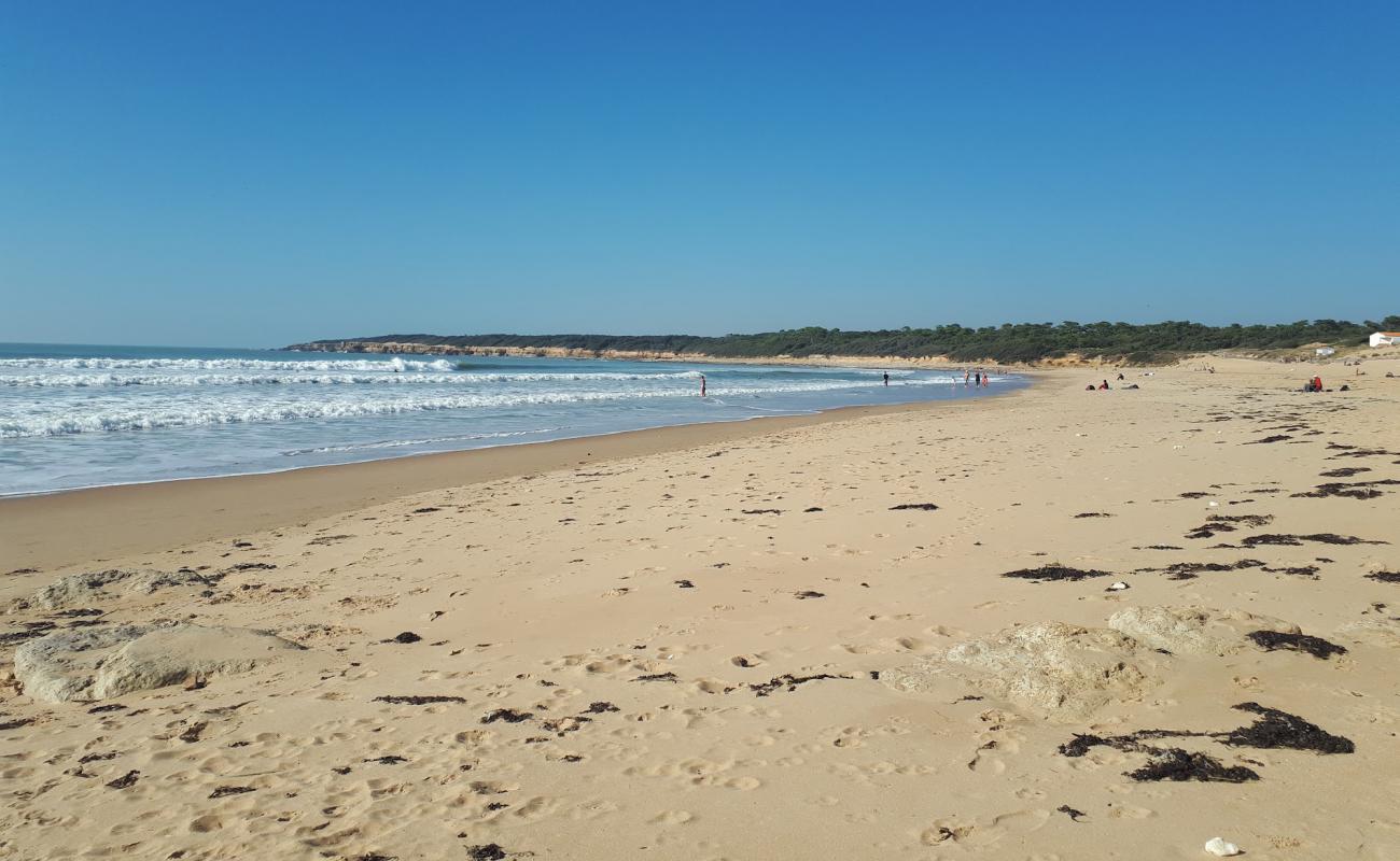 Photo de Mine beach avec sable beige de surface