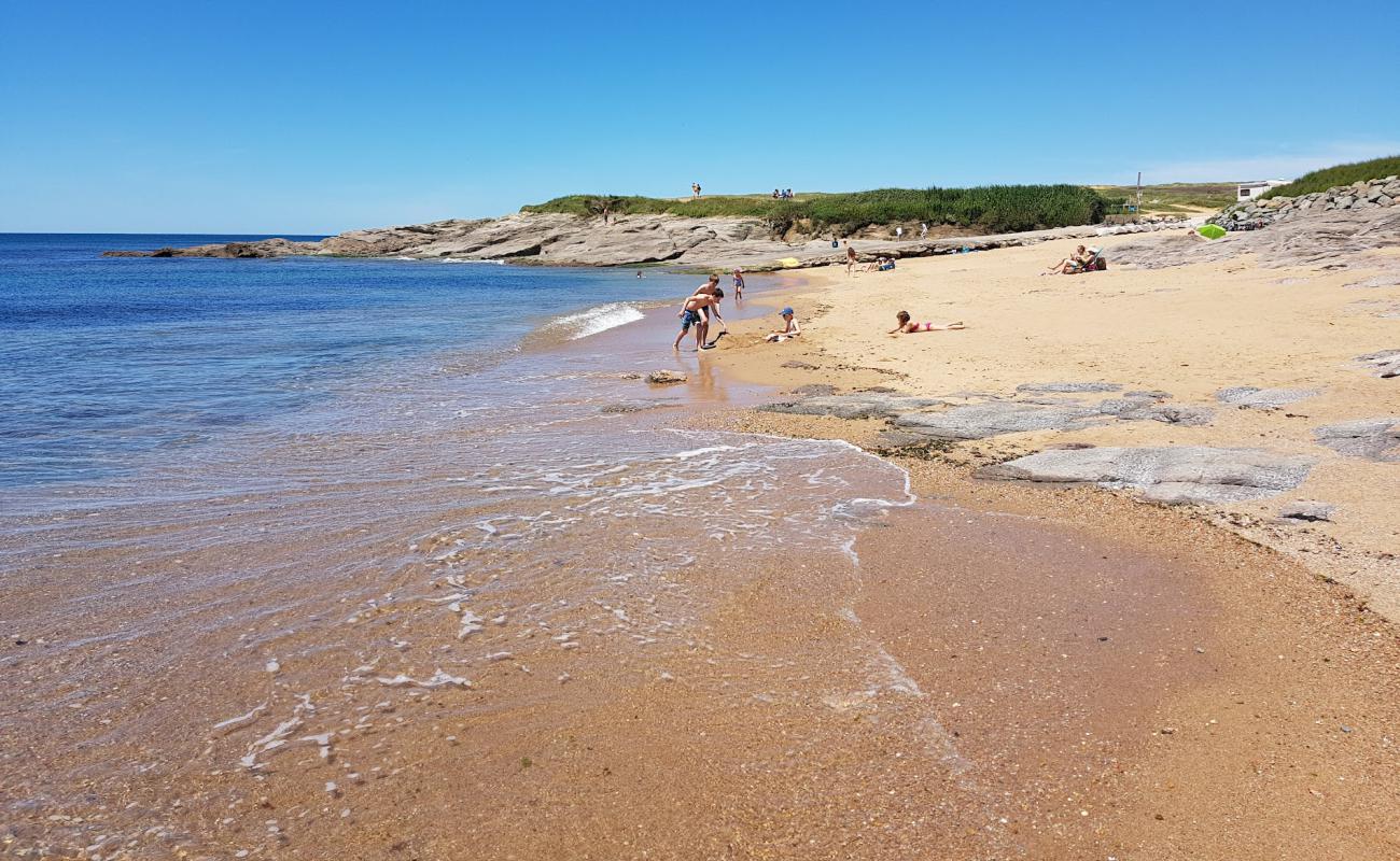 Photo de La Sauzaie beach avec sable brun & rochers de surface