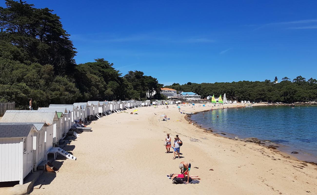 Photo de Plage des Dames avec sable beige de surface