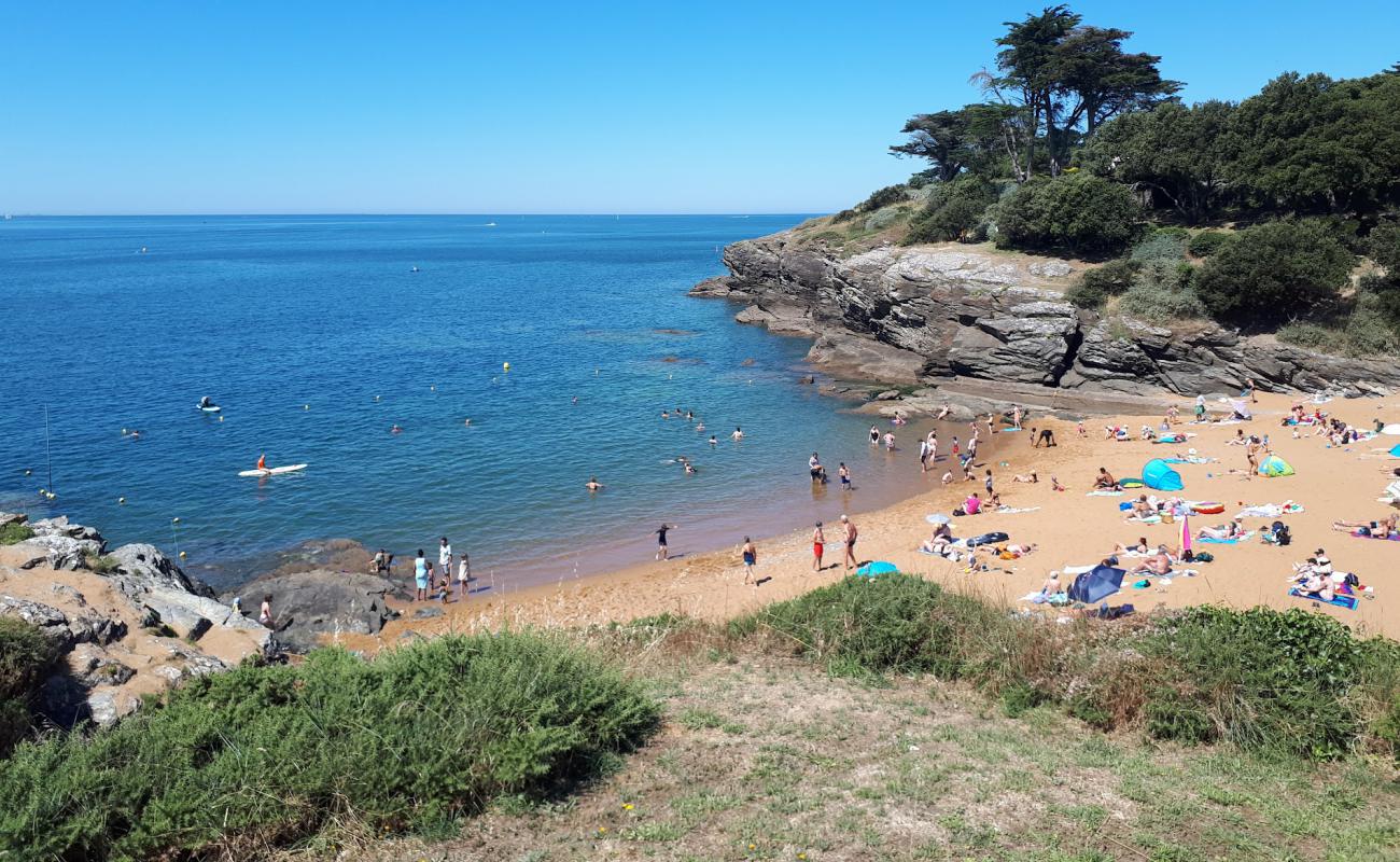 Photo de Porteau beach avec sable lumineux de surface