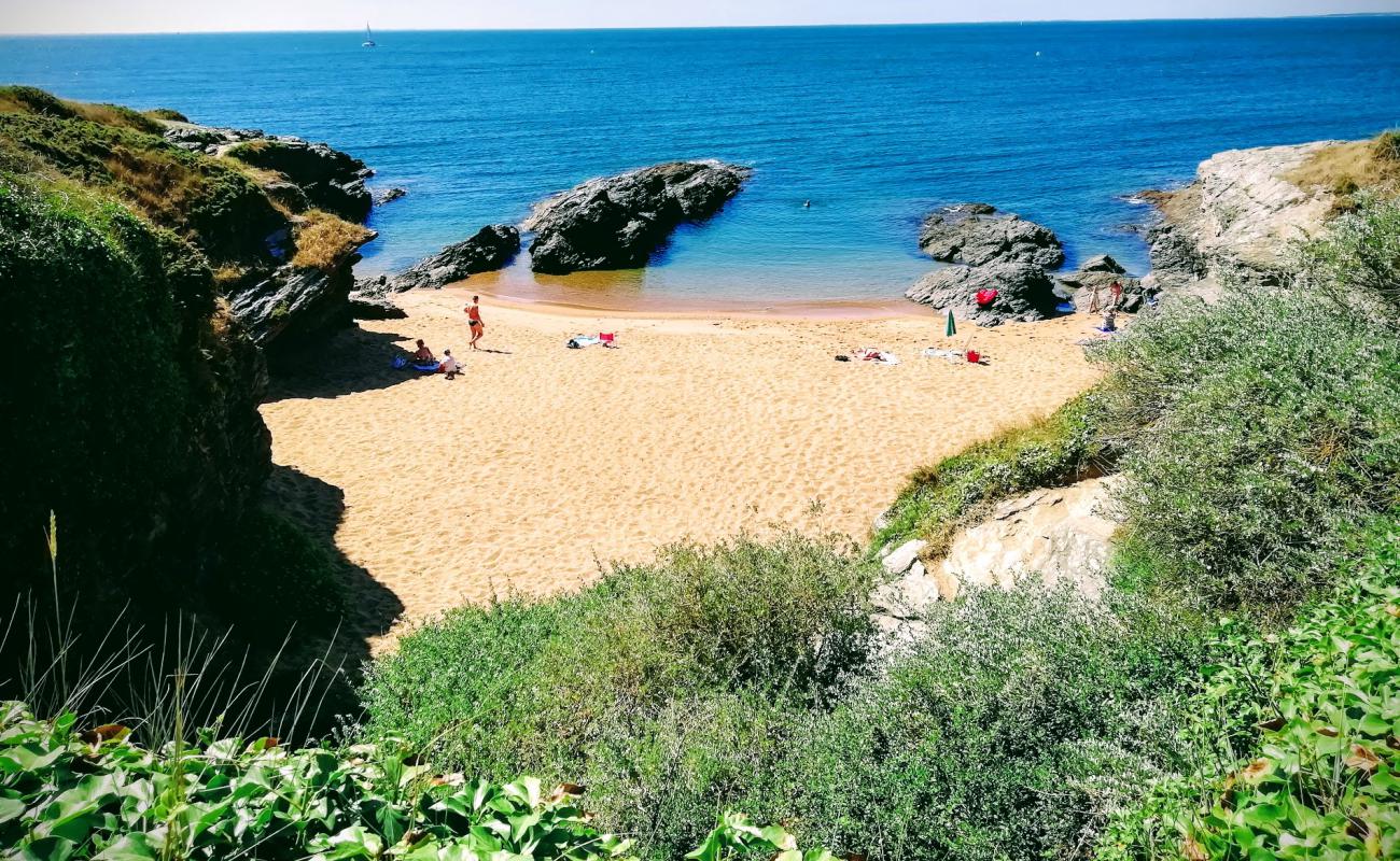 Photo de Plage de la Gauvinière avec sable lumineux de surface