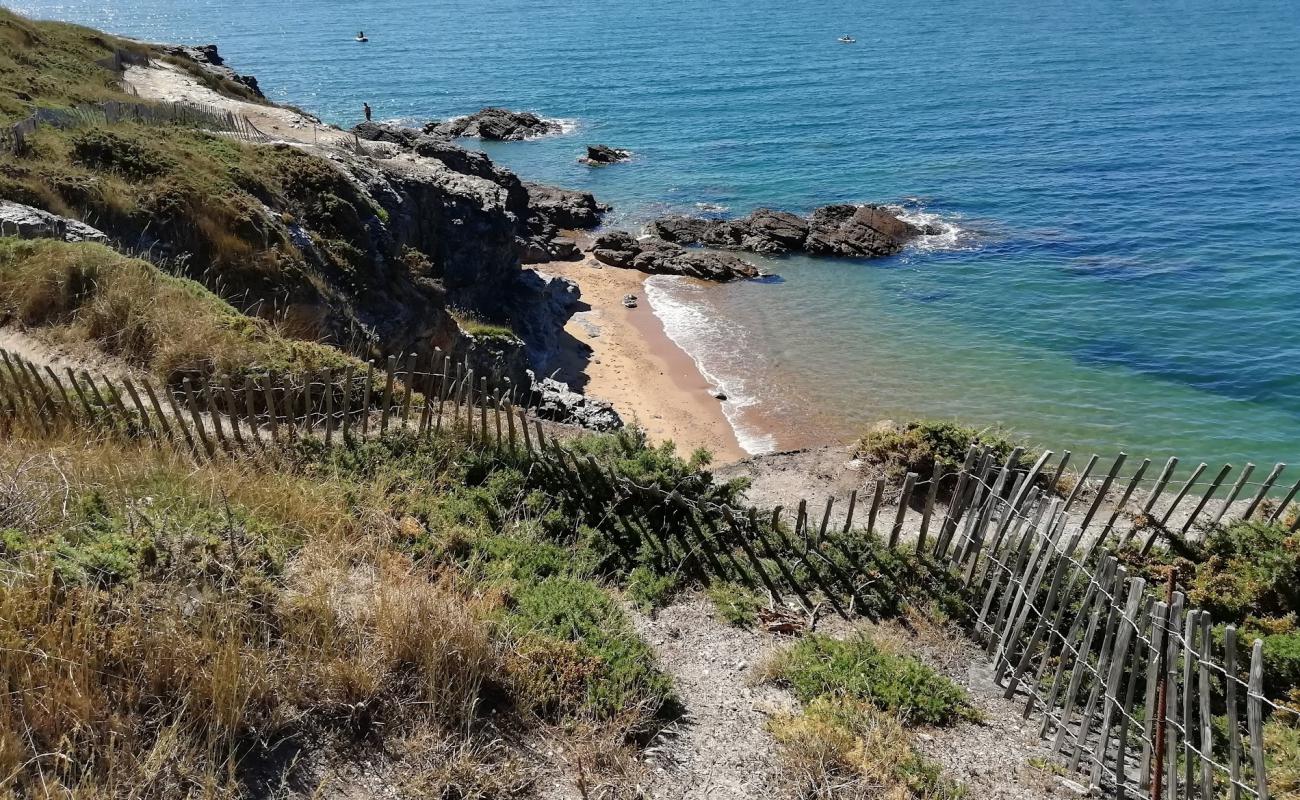 Photo de Raitrie beach avec sable lumineux de surface