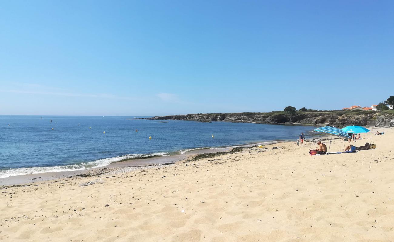 Photo de Anse du Sud beach avec sable beige & pierres de surface