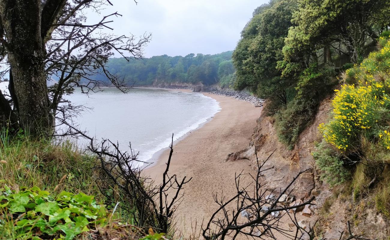 Photo de Bonne Anse beach avec sable brillant et rochers de surface