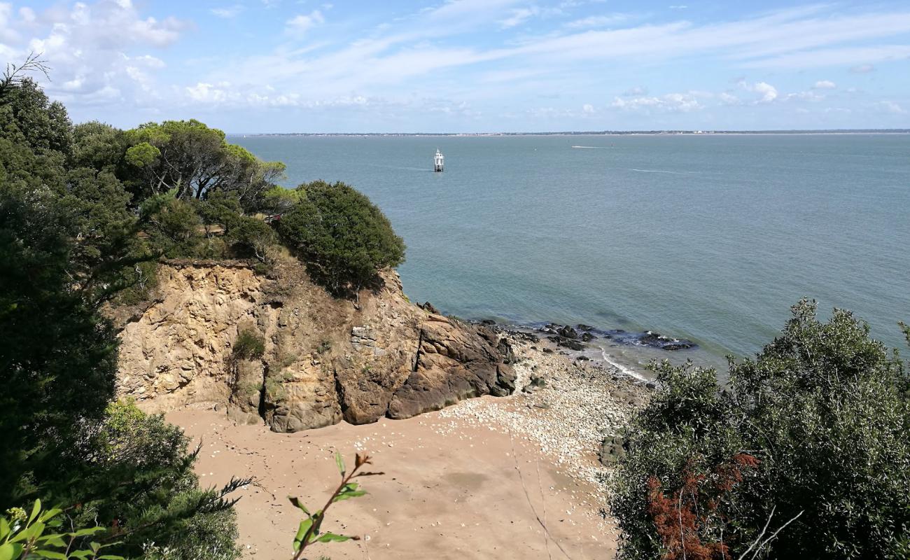 Photo de Eve beach avec terrain rocheux de surface