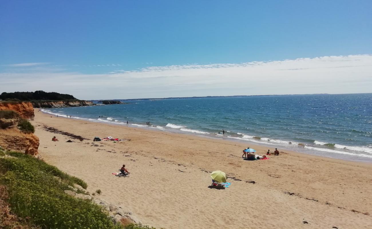 Photo de Plage de Loscolo avec sable beige de surface