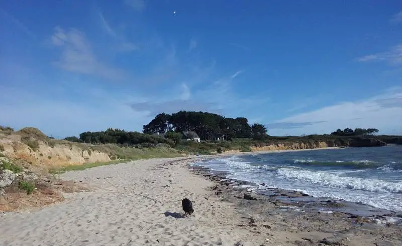 Photo de Plage Le Logui avec sable beige & pierres de surface