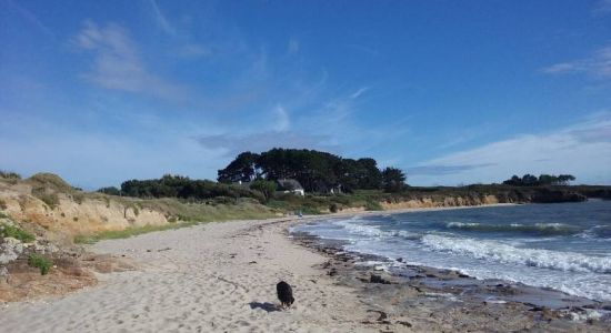 Plage Le Logui