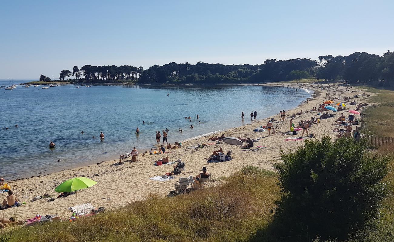 Photo de Plage de Men er Bellec avec sable beige de surface