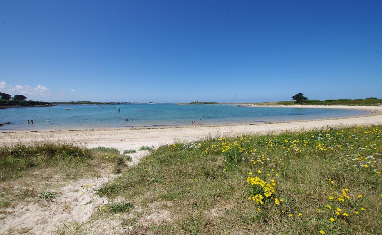 Photo de Plage de Saint-Cava avec sable lumineux de surface