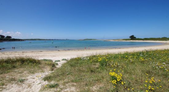 Plage de Saint-Cava