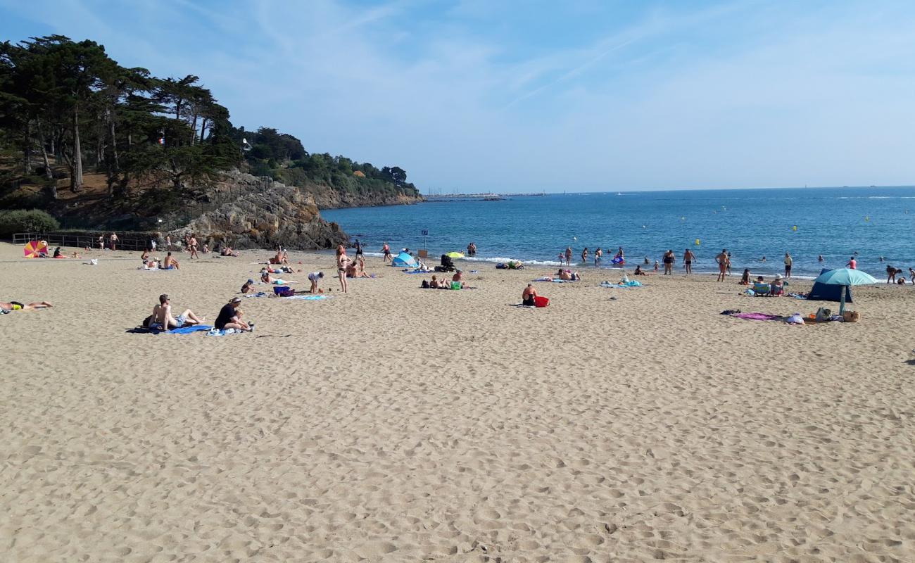 Photo de Plage du Moulin avec sable beige de surface