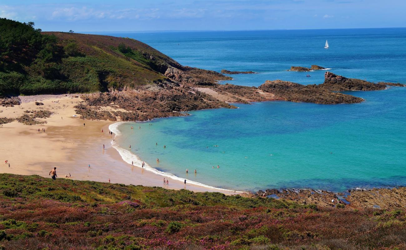 Photo de Plage du Portuais avec sable beige de surface