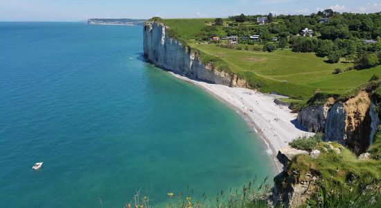 Plage De Vaucottes