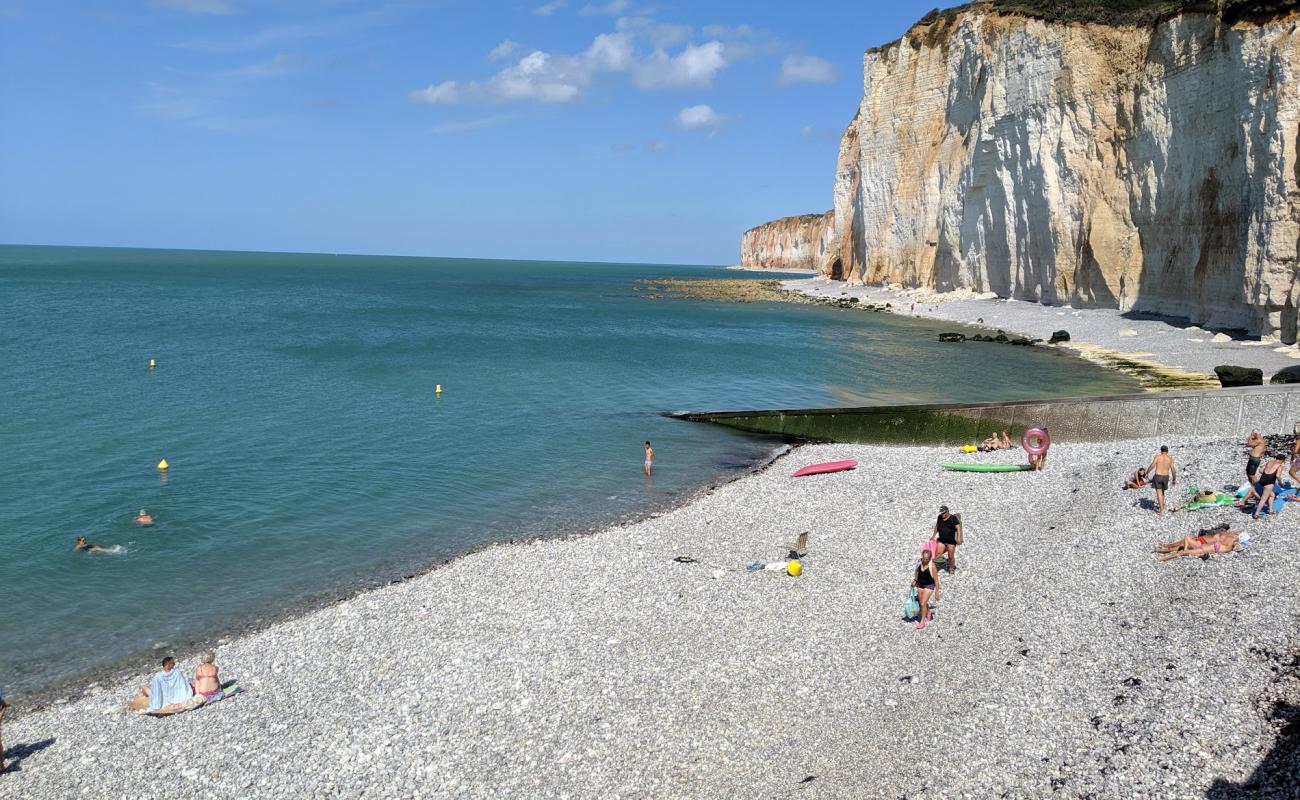 Photo de Plage des Grandes Dalles avec roches de surface