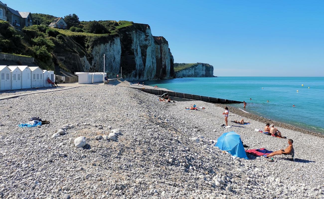 Photo de Plage des Petites Dalles avec caillou clair de surface