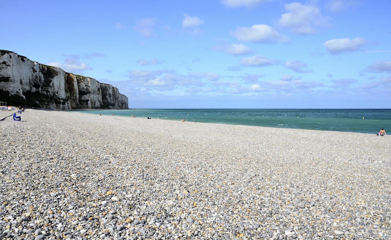 Photo de Plage du Treport avec caillou gris de surface