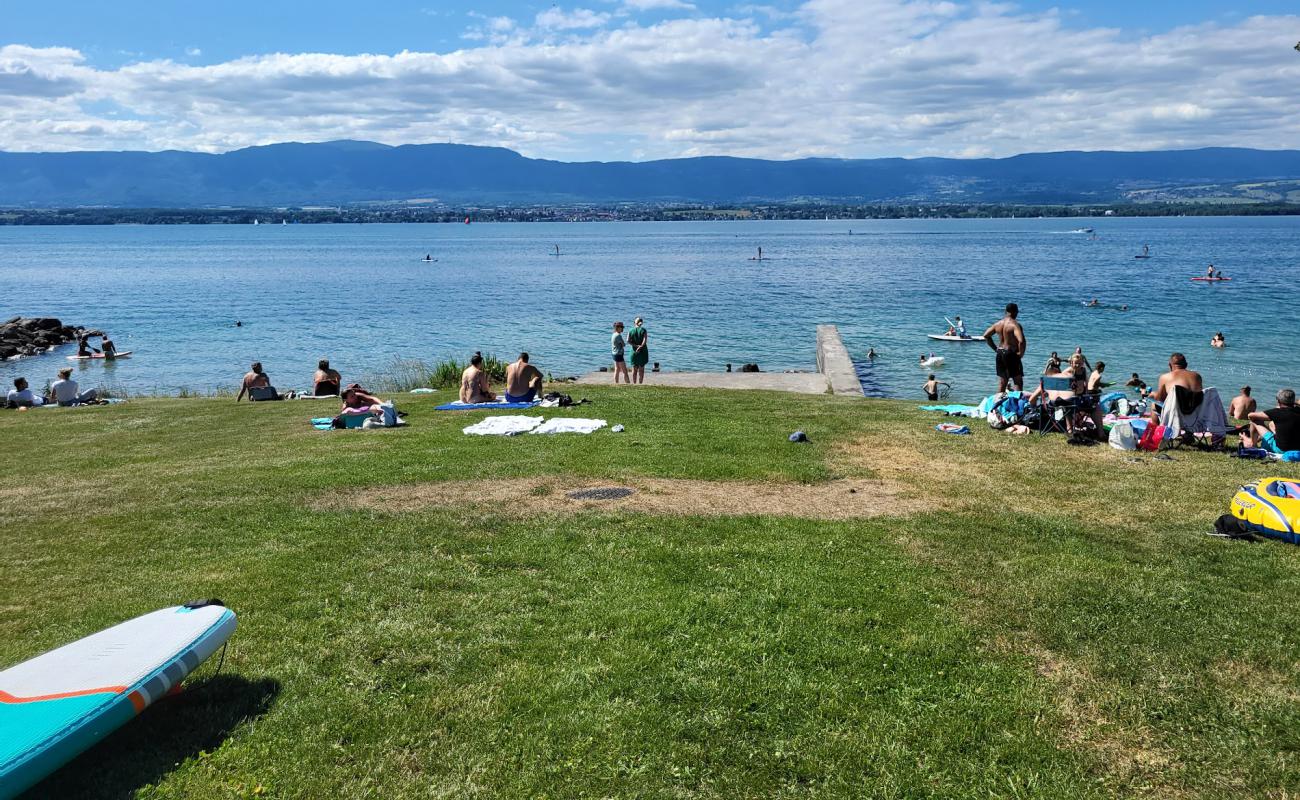 Photo de Plage de Messery avec herbe de surface