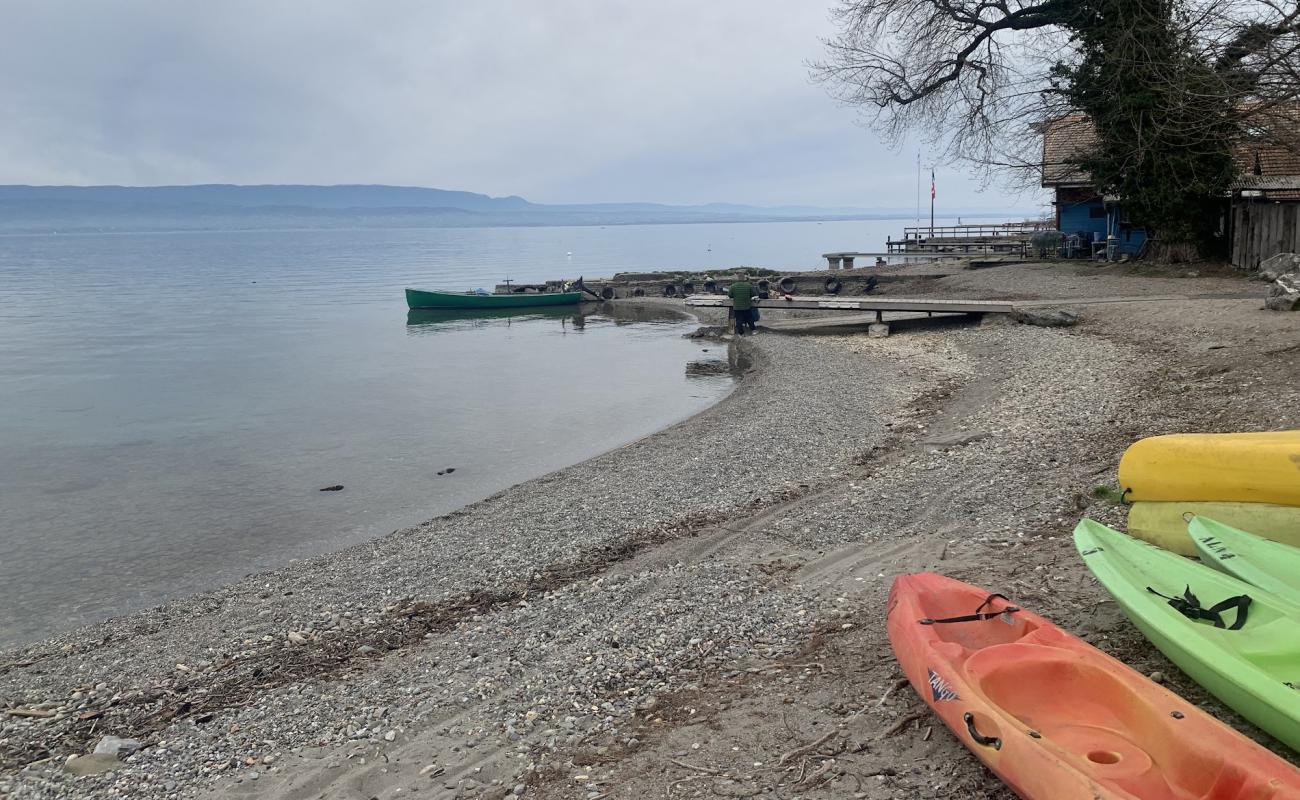 Photo de Plage de Sciez avec petits galets gris de surface