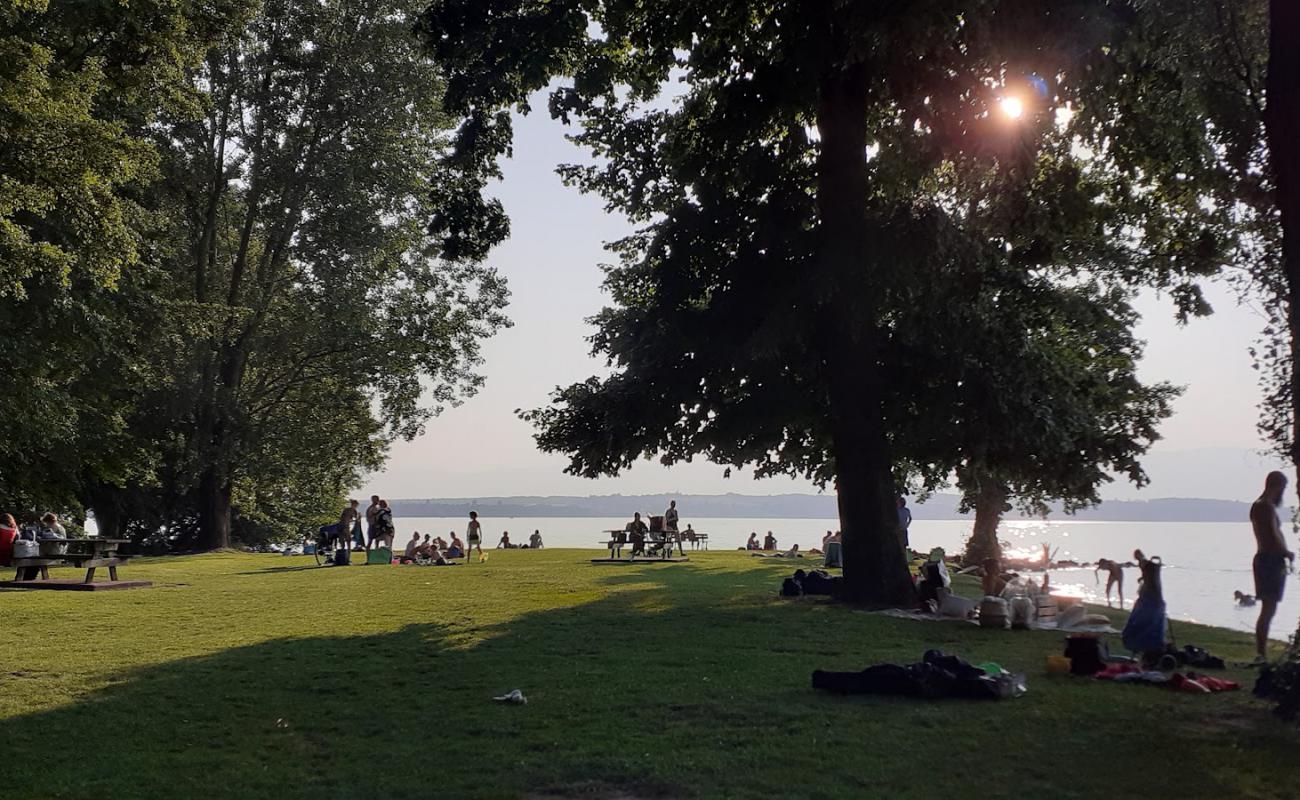 Photo de Plage du Redon avec herbe de surface