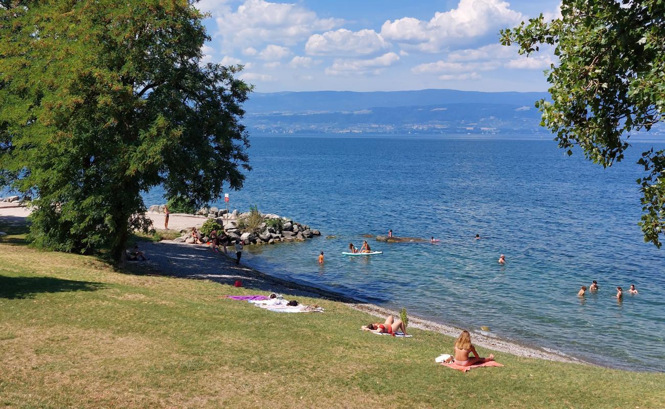 Photo de Plage des Recorts avec herbe de surface