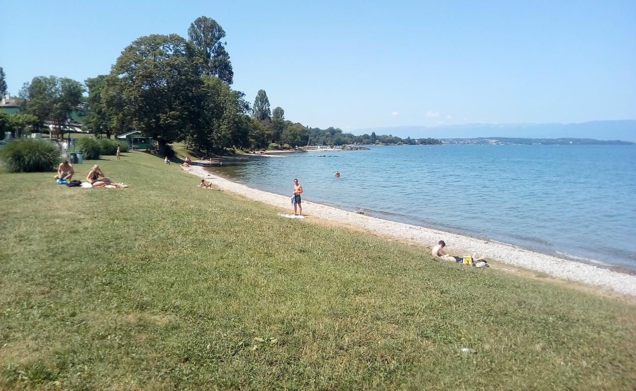 Photo de Plage Chantrell avec herbe de surface