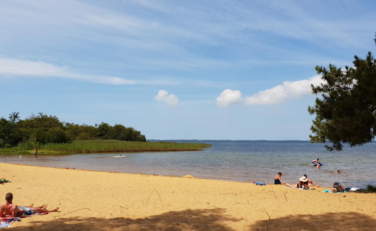 Photo de Plage des Bardets avec sable beige de surface