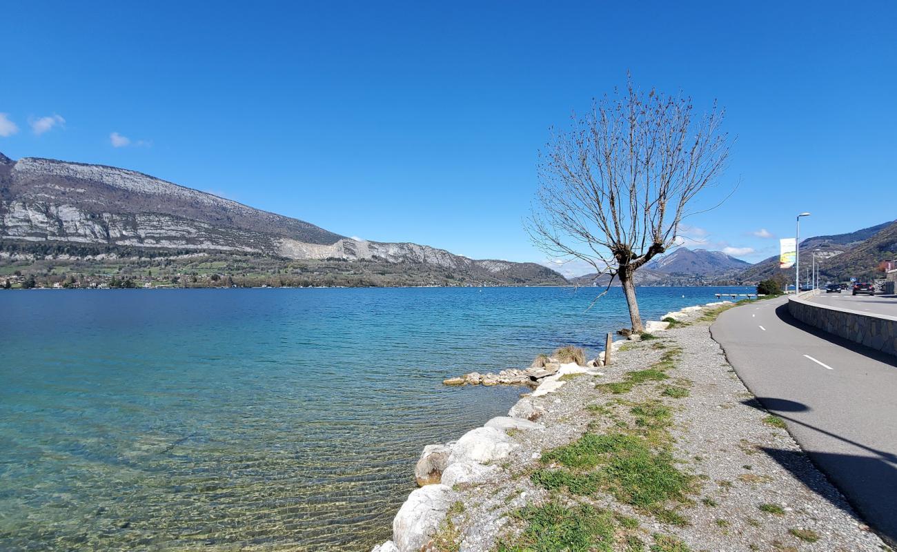 Photo de Plage de la Balmette avec herbe de surface