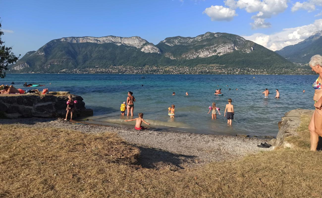 Photo de Plage Les Choseaux avec herbe de surface