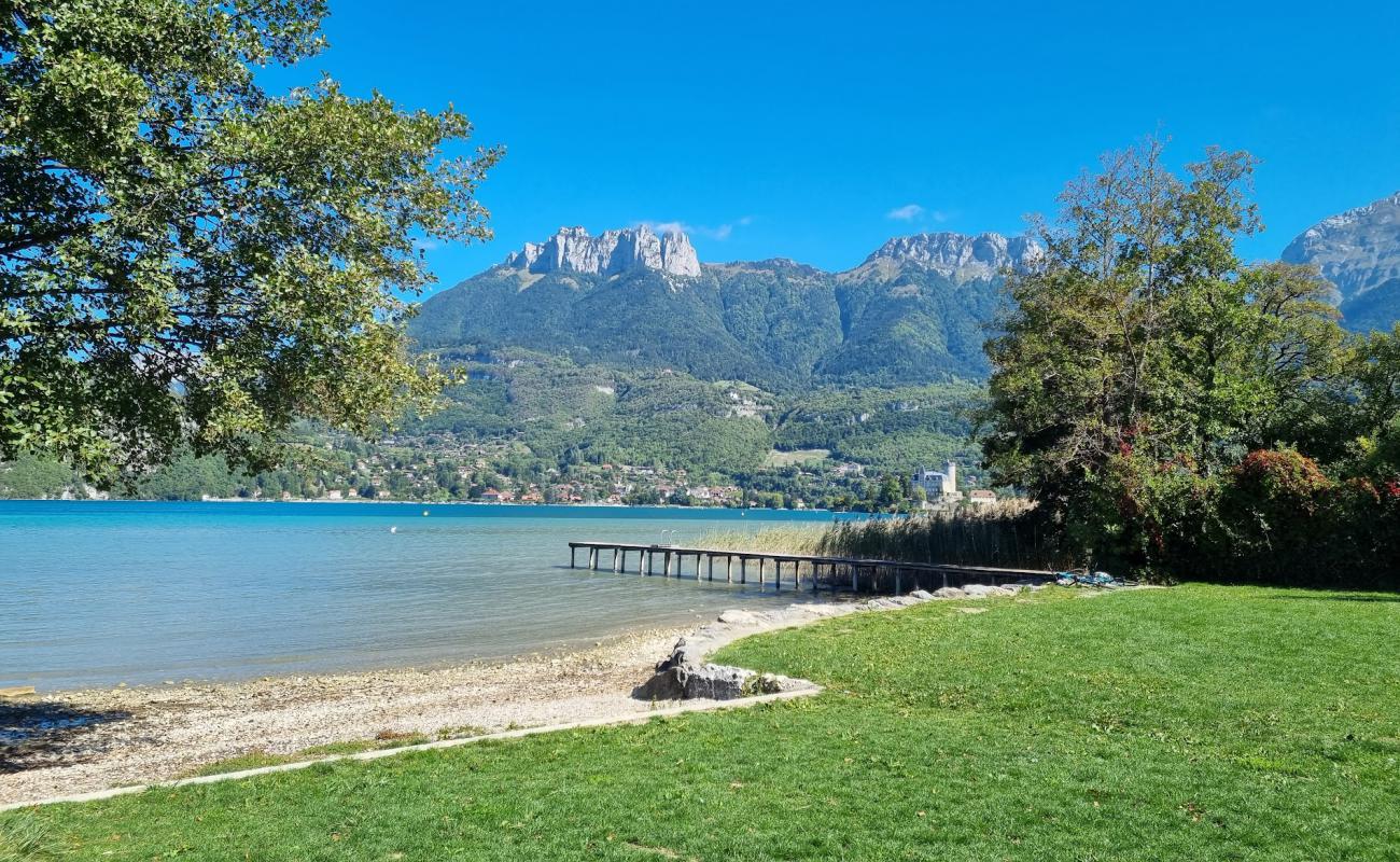 Photo de Plage de port municipal avec herbe de surface