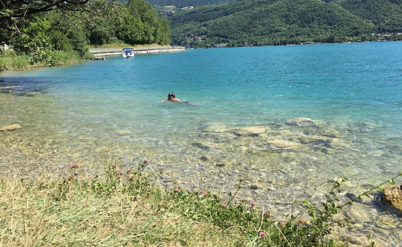 Photo de Grassy Knoll By Lake Beach avec herbe de surface
