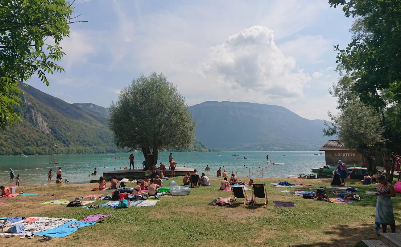 Photo de Plage La Crique Aiguebelette avec herbe de surface