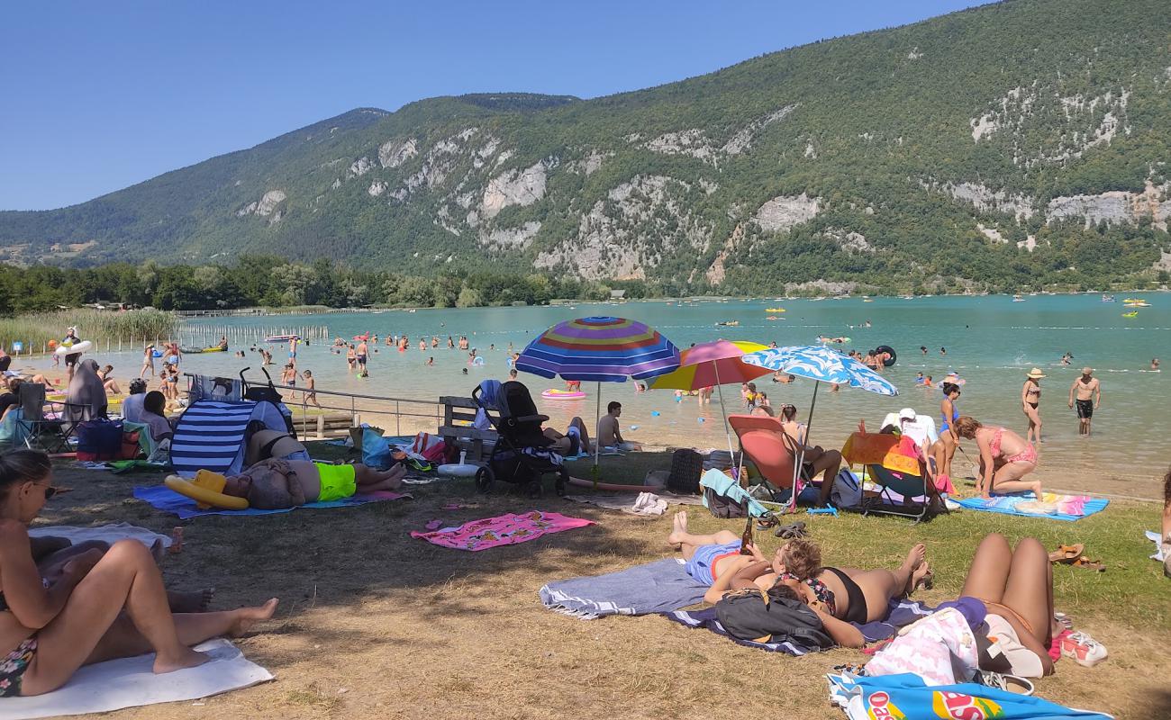 Photo de La plage du pre argent avec herbe de surface