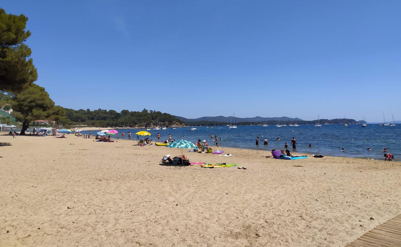 Photo de Plage de l'Argentiere avec sable lumineux de surface