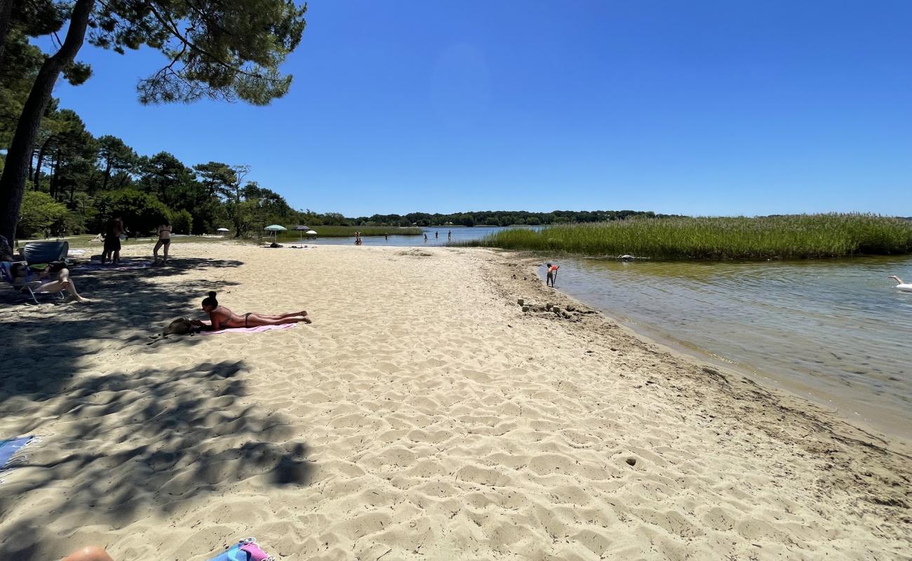 Photo de Sanguinet plage avec sable lumineux de surface