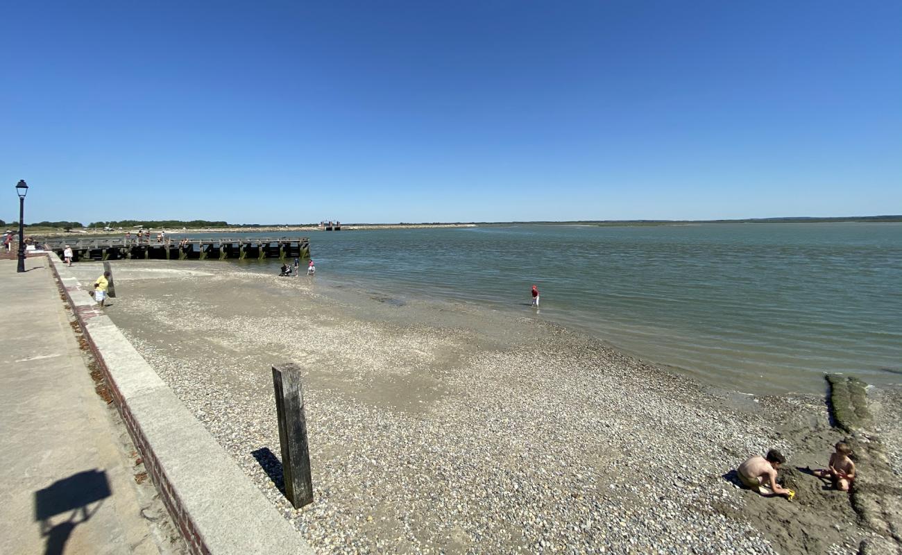 Photo de Plage Le Crotoy avec sable clair avec caillou de surface