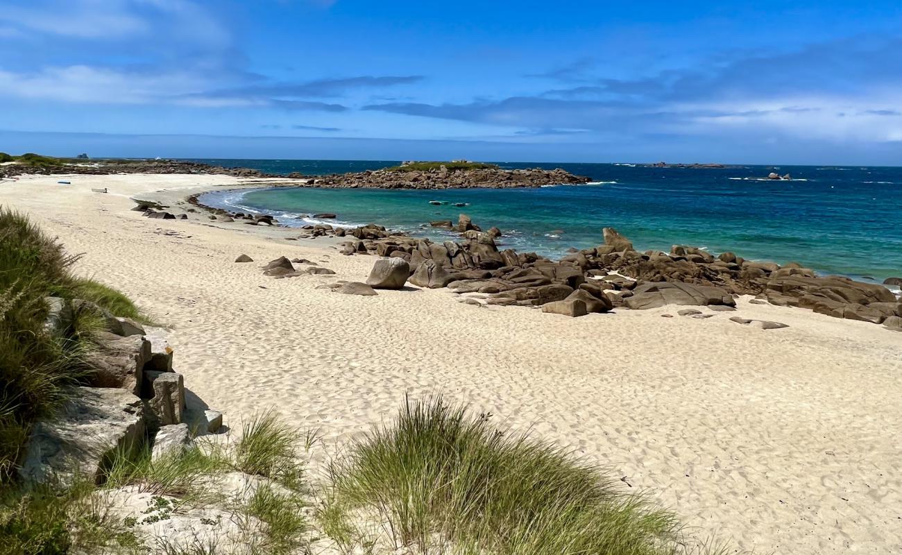 Photo de Plage de Landrellec avec sable beige de surface