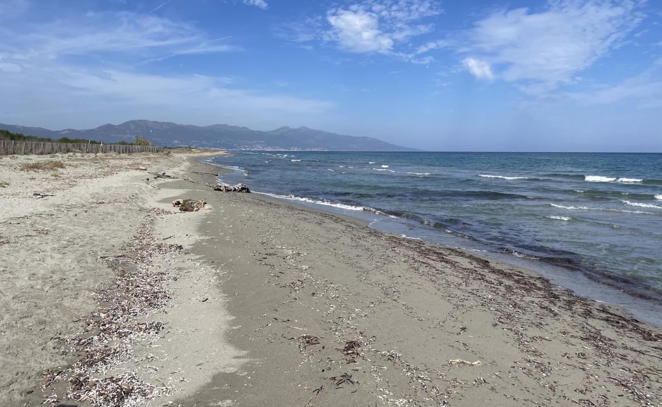 Photo de Pineto Beach avec sable lumineux de surface