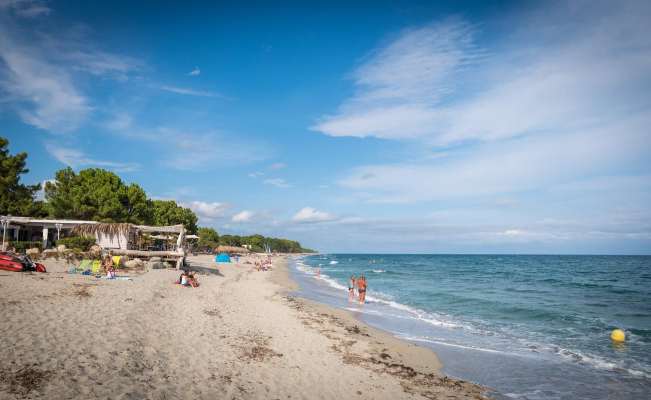 Photo de Calzarellu Beach avec sable lumineux de surface