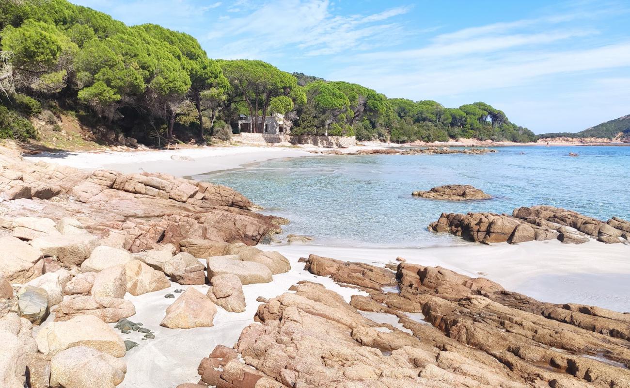 Photo de Capu Di Fora Beach avec sable lumineux de surface